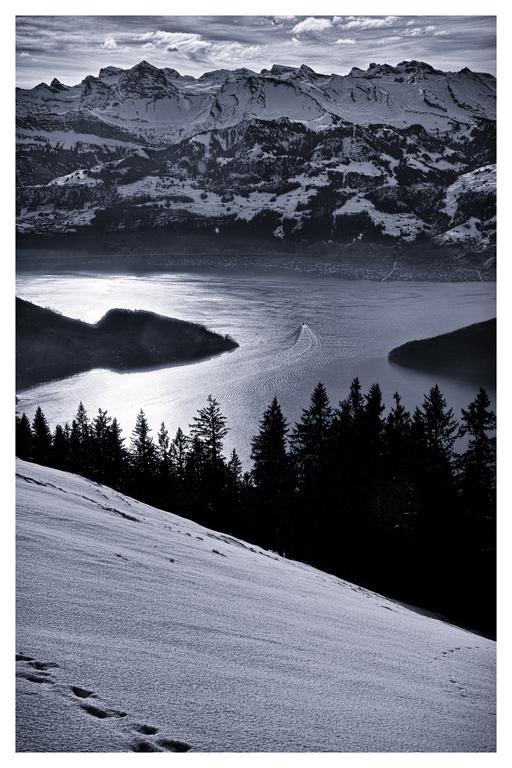 Kraeuterhotel Edelweiss Rigi Kaltbad Εξωτερικό φωτογραφία