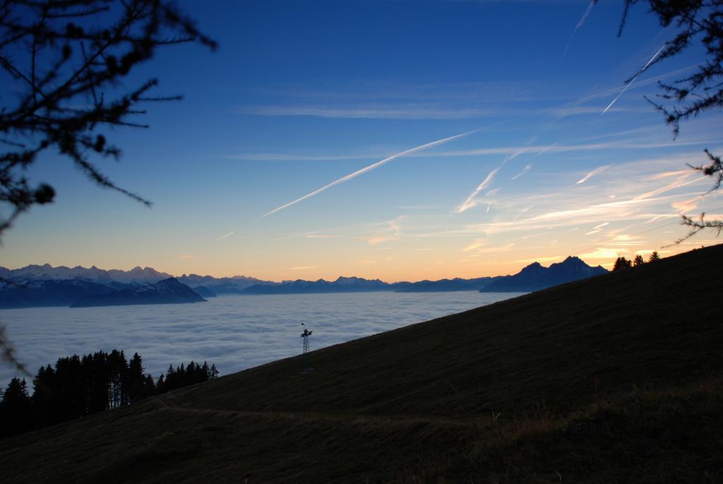 Kraeuterhotel Edelweiss Rigi Kaltbad Εξωτερικό φωτογραφία