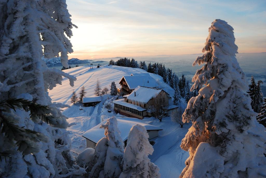 Kraeuterhotel Edelweiss Rigi Kaltbad Εξωτερικό φωτογραφία
