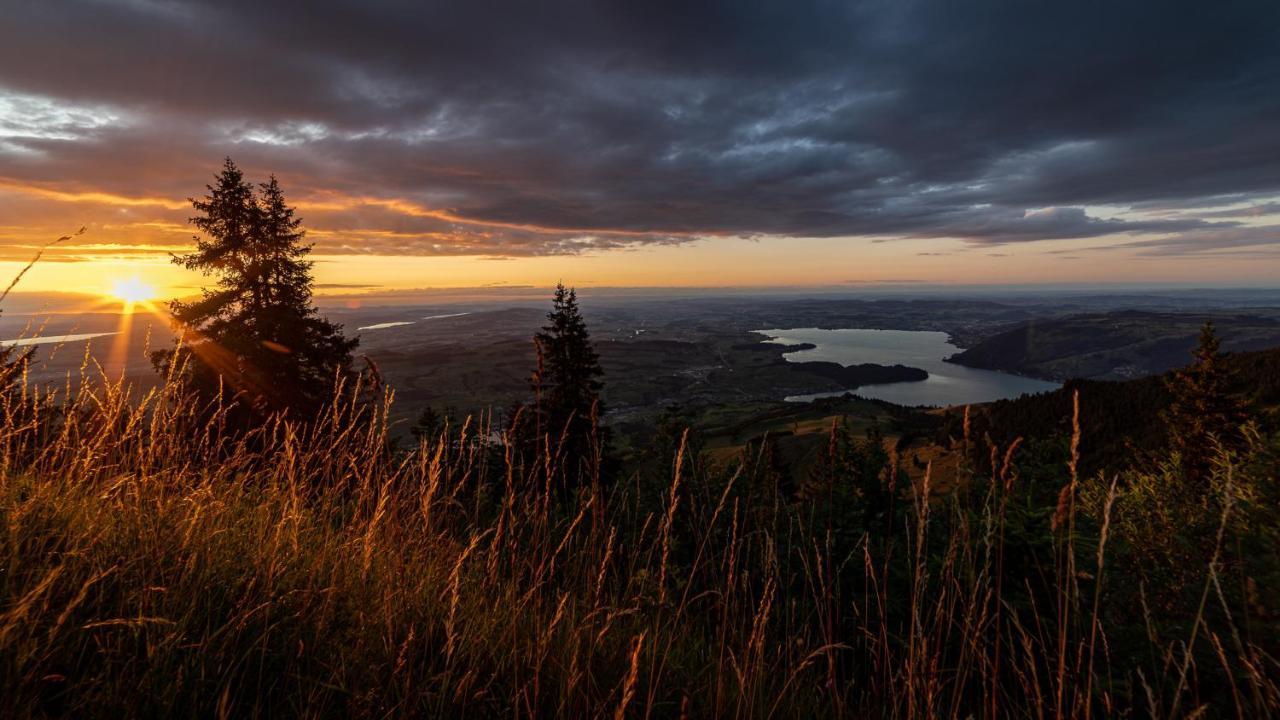 Kraeuterhotel Edelweiss Rigi Kaltbad Εξωτερικό φωτογραφία
