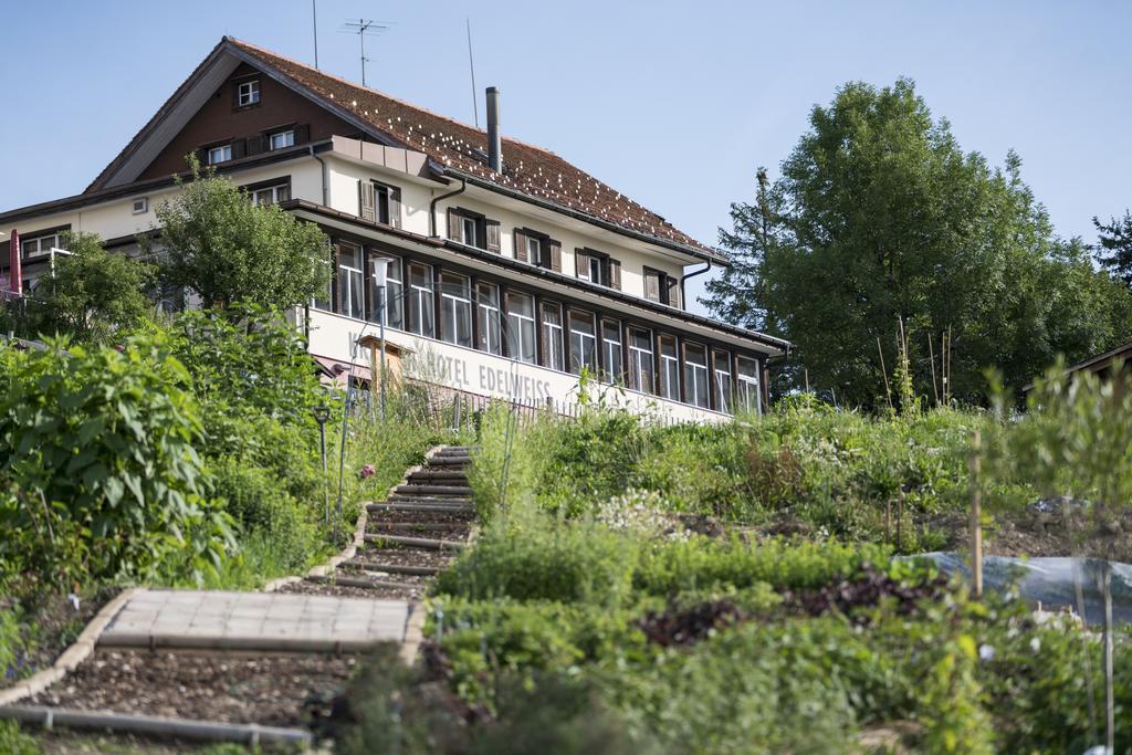 Kraeuterhotel Edelweiss Rigi Kaltbad Εξωτερικό φωτογραφία